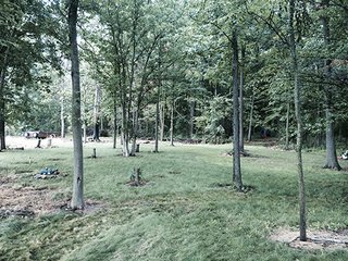 Property photo 15 - LAND AUCTION, 55+/- Acres offered in 2 tracts